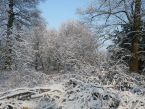 Schnee im Park von Haus Meer. Foto: Eri Krippner